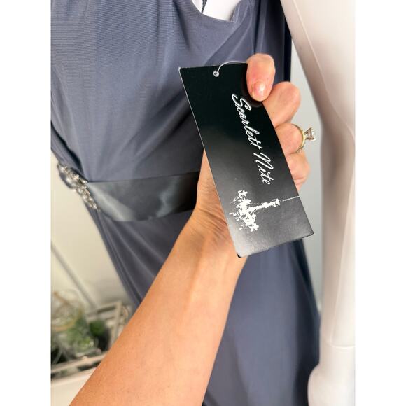 Beautiful NWTs Women’s Dress Size 12 - Picture 4 of 8